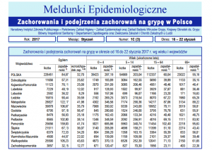 meldunek epidemiologiczny