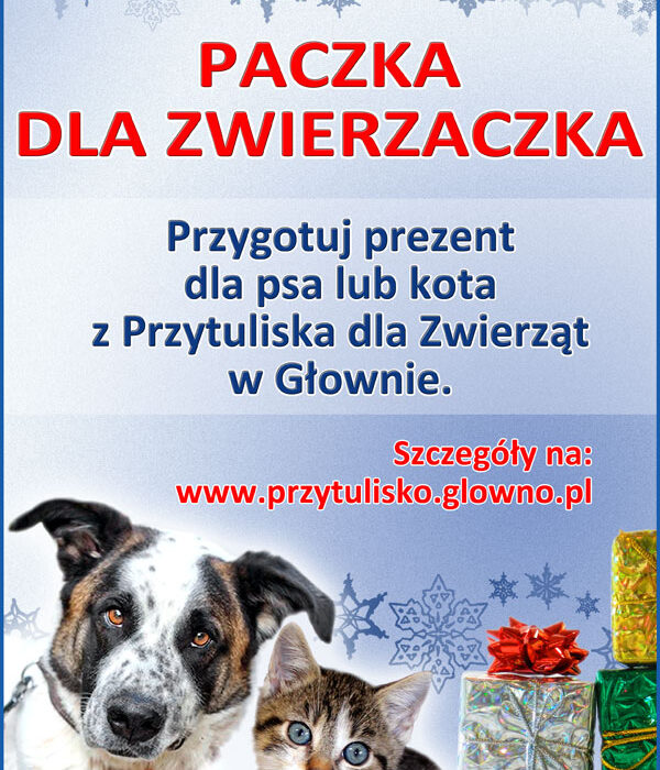 zwierzęta