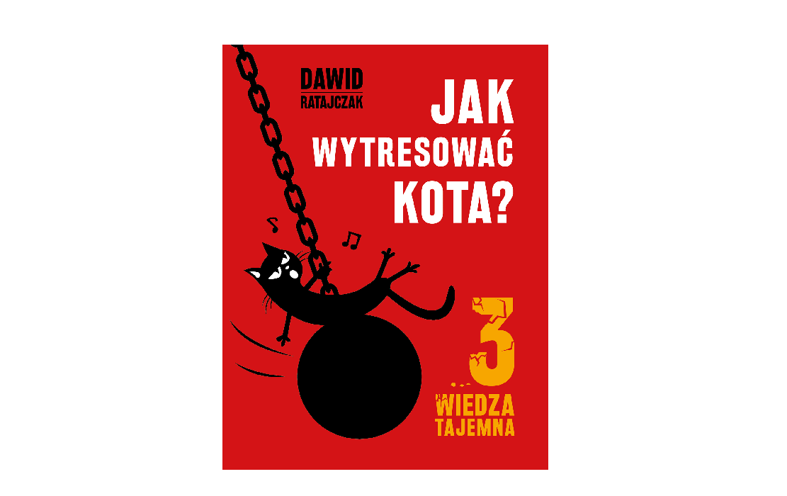 Jak wytresować kota