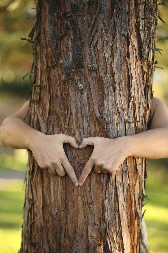 sylwoterapia-czyli-leczenie-energia-drzew